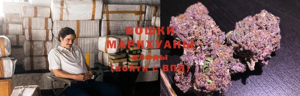 мдпв Вяземский