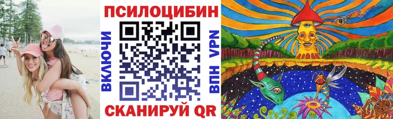 Псилоцибиновые грибы мицелий  где продают наркотики  Почеп 